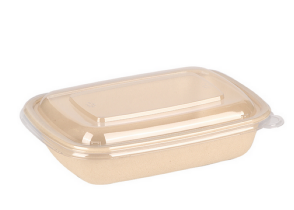 Rectangular Sugarcane Container transparent lid 850ml - Single Space ( 50 pcs)